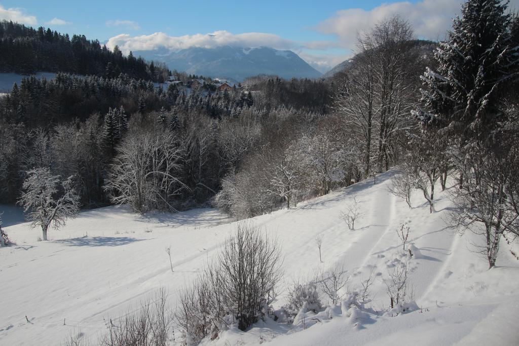 Chalet Eterlou Mégevette Zewnętrze zdjęcie