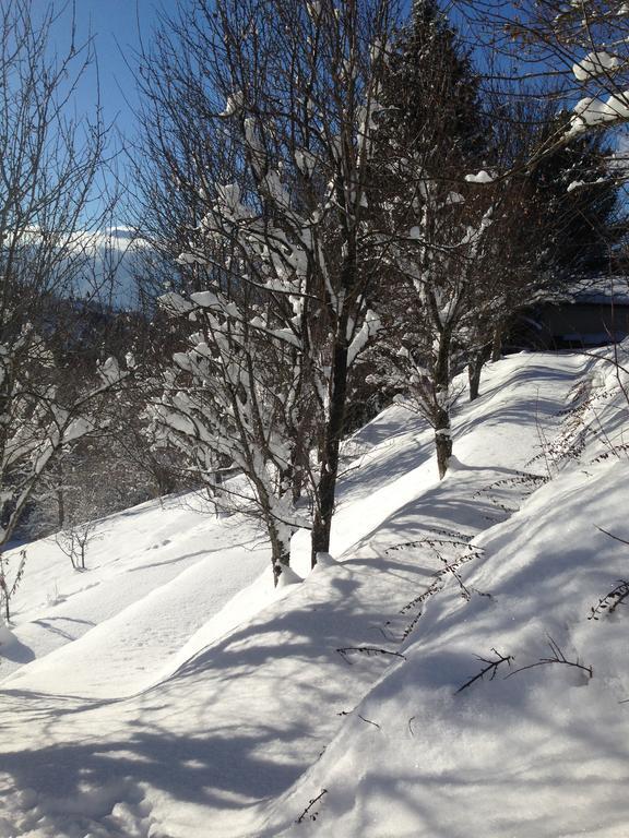 Chalet Eterlou Mégevette Zewnętrze zdjęcie
