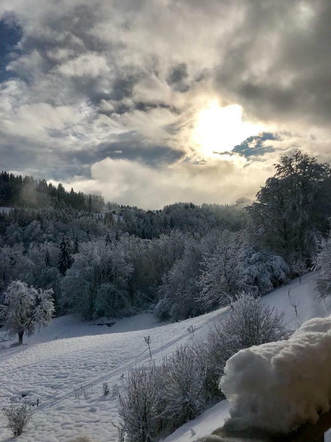 Chalet Eterlou Mégevette Zewnętrze zdjęcie