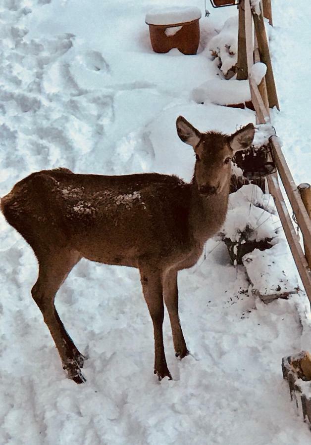 Chalet Eterlou Mégevette Zewnętrze zdjęcie